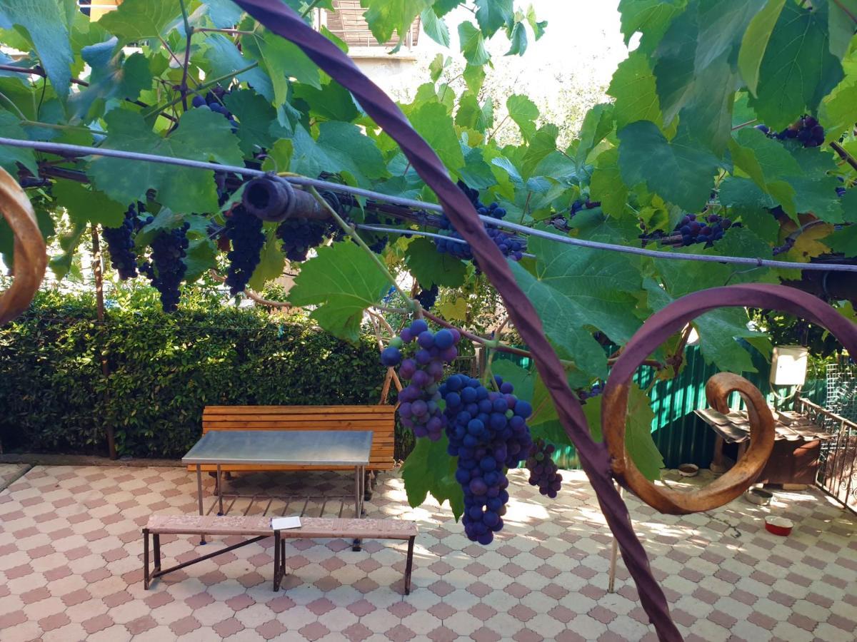 גגרה Guest House Lykhny מראה חיצוני תמונה