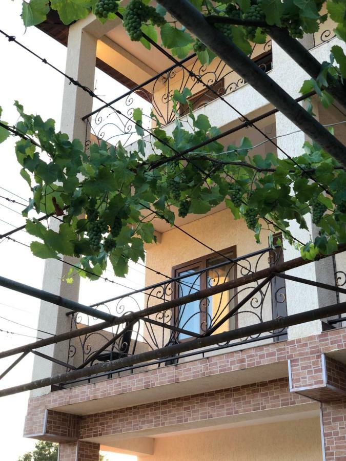 גגרה Guest House Lykhny מראה חיצוני תמונה